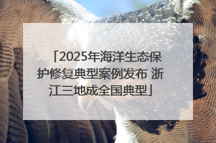 2025年海洋生态保护修复典型案例发布 浙江三地成全国典型