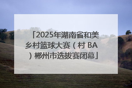 2025年湖南省和美乡村篮球大赛（村 BA）郴州市选拔赛闭幕