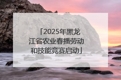 2025年黑龙江省农业春播劳动和技能竞赛启动