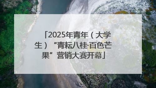 2025年青年（大学生）“青耘八桂·百色芒果”营销大赛开幕