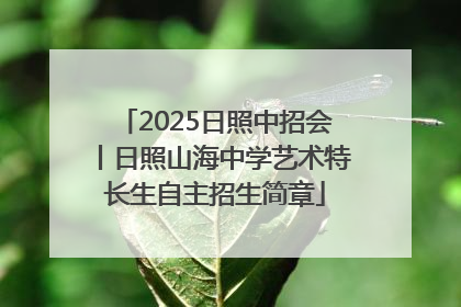 2025日照中招会丨日照山海中学艺术特长生自主招生简章