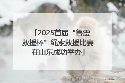 2025首届“鲁震救援杯”绳索救援比赛在山东成功举办