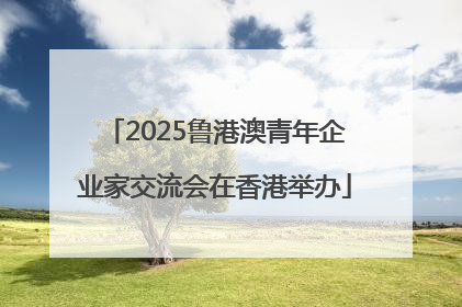 2025鲁港澳青年企业家交流会在香港举办