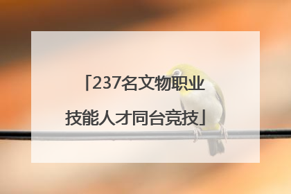 237名文物职业技能人才同台竞技