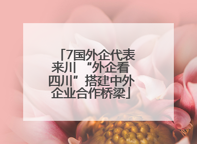 7国外企代表来川 “外企看四川”搭建中外企业合作桥梁