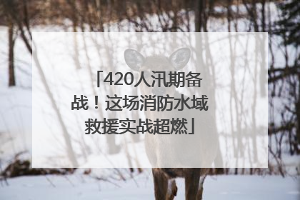 420人汛期备战！这场消防水域救援实战超燃