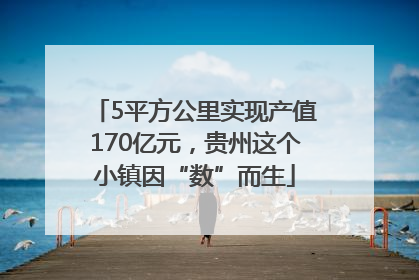 5平方公里实现产值170亿元，贵州这个小镇因“数”而生