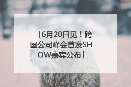 6月20日见！跨国公司峰会首发SHOW嘉宾公布