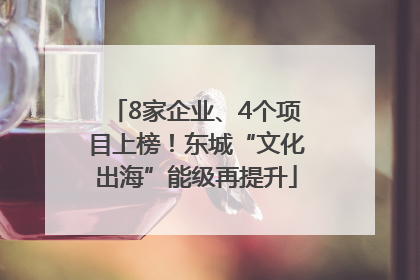 8家企业、4个项目上榜！东城“文化出海”能级再提升