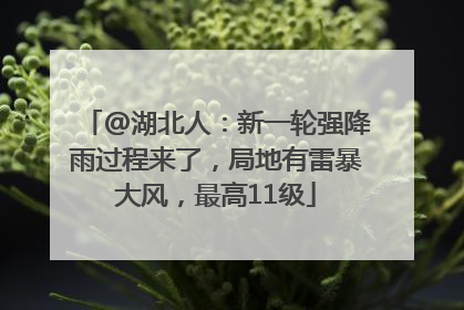 @湖北人：新一轮强降雨过程来了，局地有雷暴大风，最高11级
