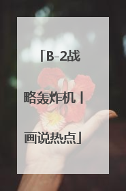 B-2战略轰炸机丨画说热点