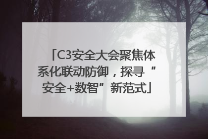 C3安全大会聚焦体系化联动防御，探寻“安全+数智”新范式