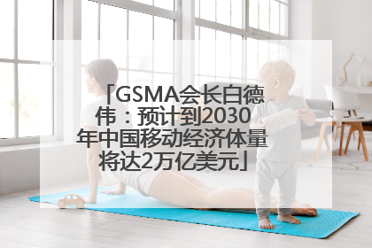 GSMA会长白德伟：预计到2030年中国移动经济体量将达2万亿美元