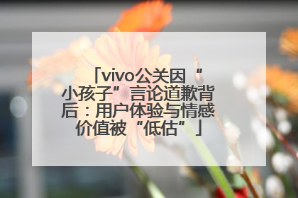 vivo公关因“小孩子”言论道歉背后：用户体验与情感价值被“低估”
